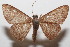  ( - 20-SRNP-103988)  @11 [ ] CreativeCommons  Attribution Non-Commercial Share-Alike (2023) Daniel H. Janzen Guanacaste Dry Forest Conservation Fund