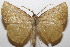  ( - 20-SRNP-104123)  @11 [ ] CreativeCommons  Attribution Non-Commercial Share-Alike (2023) Daniel H. Janzen Guanacaste Dry Forest Conservation Fund