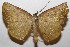  ( - 20-SRNP-104124)  @11 [ ] CreativeCommons  Attribution Non-Commercial Share-Alike (2023) Daniel H. Janzen Guanacaste Dry Forest Conservation Fund