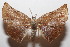  ( - 20-SRNP-104137)  @11 [ ] CreativeCommons  Attribution Non-Commercial Share-Alike (2023) Daniel H. Janzen Guanacaste Dry Forest Conservation Fund