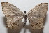  ( - 20-SRNP-104227)  @11 [ ] CreativeCommons  Attribution Non-Commercial Share-Alike (2023) Daniel H. Janzen Guanacaste Dry Forest Conservation Fund
