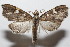  ( - 20-SRNP-104678)  @11 [ ] CreativeCommons  Attribution Non-Commercial Share-Alike (2023) Daniel H. Janzen Guanacaste Dry Forest Conservation Fund
