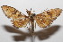 ( - 20-SRNP-104683)  @11 [ ] CreativeCommons  Attribution Non-Commercial Share-Alike (2023) Daniel H. Janzen Guanacaste Dry Forest Conservation Fund