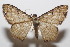  ( - 20-SRNP-104840)  @11 [ ] CreativeCommons  Attribution Non-Commercial Share-Alike (2023) Daniel H. Janzen Guanacaste Dry Forest Conservation Fund