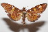  ( - 20-SRNP-105002)  @11 [ ] CreativeCommons  Attribution Non-Commercial Share-Alike (2023) Daniel H. Janzen Guanacaste Dry Forest Conservation Fund