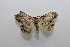  ( - 20-SRNP-30947)  @11 [ ] CreativeCommons  Attribution Non-Commercial Share-Alike (2023) Daniel H. Janzen Guanacaste Dry Forest Conservation Fund
