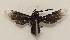  ( - 20-SRNP-31628)  @11 [ ] CreativeCommons  Attribution Non-Commercial Share-Alike (2023) Daniel H. Janzen Guanacaste Dry Forest Conservation Fund