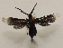  ( - 20-SRNP-31856)  @11 [ ] CreativeCommons  Attribution Non-Commercial Share-Alike (2023) Daniel H. Janzen Guanacaste Dry Forest Conservation Fund