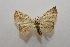  ( - 20-SRNP-40666)  @11 [ ] CreativeCommons  Attribution Non-Commercial Share-Alike (2023) Daniel H. Janzen Guanacaste Dry Forest Conservation Fund