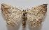  ( - 20-SRNP-45547)  @11 [ ] CreativeCommons  Attribution Non-Commercial Share-Alike (2023) Daniel H. Janzen Guanacaste Dry Forest Conservation Fund
