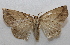  ( - 20-SRNP-45547)  @11 [ ] CreativeCommons  Attribution Non-Commercial Share-Alike (2023) Daniel H. Janzen Guanacaste Dry Forest Conservation Fund
