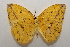  ( - 20-SRNP-55276)  @11 [ ] CreativeCommons  Attribution Non-Commercial Share-Alike (2023) Daniel H. Janzen Guanacaste Dry Forest Conservation Fund