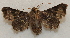  ( - 20-SRNP-759)  @11 [ ] CreativeCommons  Attribution Non-Commercial Share-Alike (2023) Daniel H. Janzen Guanacaste Dry Forest Conservation Fund