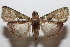  ( - 21-SRNP-100070)  @11 [ ] CreativeCommons  Attribution Non-Commercial Share-Alike (2023) Daniel H. Janzen Guanacaste Dry Forest Conservation Fund