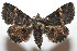  ( - 08-SRNP-105414)  @14 [ ] CreativeCommons - Attribution Non-Commercial Share-Alike (2013) Daniel H. Janzen Guanacaste Dry Forest Conservation Fund