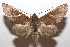  ( - 08-SRNP-105465)  @13 [ ] CreativeCommons - Attribution Non-Commercial Share-Alike (2013) Daniel H. Janzen Guanacaste Dry Forest Conservation Fund