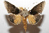  ( - 08-SRNP-105521)  @13 [ ] CreativeCommons - Attribution Non-Commercial Share-Alike (2013) Daniel H. Janzen Guanacaste Dry Forest Conservation Fund