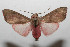  ( - 08-SRNP-105579)  @14 [ ] CreativeCommons - Attribution Non-Commercial Share-Alike (2013) Daniel H. Janzen Guanacaste Dry Forest Conservation Fund
