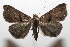  ( - 08-SRNP-105837)  @13 [ ] CreativeCommons - Attribution Non-Commercial Share-Alike (2013) Daniel H. Janzen Guanacaste Dry Forest Conservation Fund