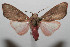  ( - 08-SRNP-106014)  @14 [ ] CreativeCommons - Attribution Non-Commercial Share-Alike (2013) Daniel H. Janzen Guanacaste Dry Forest Conservation Fund
