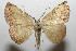  ( - 08-SRNP-106036)  @13 [ ] CreativeCommons - Attribution Non-Commercial Share-Alike (2013) Daniel H. Janzen Guanacaste Dry Forest Conservation Fund