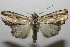  ( - 08-SRNP-106133)  @14 [ ] CreativeCommons - Attribution Non-Commercial Share-Alike (2013) Daniel H. Janzen Guanacaste Dry Forest Conservation Fund