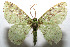  ( - 08-SRNP-106775)  @14 [ ] CreativeCommons - Attribution Non-Commercial Share-Alike (2013) Daniel H. Janzen Guanacaste Dry Forest Conservation Fund
