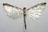  ( - 09-SRNP-100262)  @14 [ ] CreativeCommons - Attribution Non-Commercial Share-Alike (2013) Daniel H. Janzen Guanacaste Dry Forest Conservation Fund