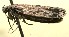  (Ethmia catapelticaDHJ05 - 09-SRNP-106925)  @13 [ ] CreativeCommons - Attribution Non-Commercial Share-Alike (2009) Unspecified Guanacaste Dry Forest Conservation Fund