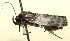  ( - 09-SRNP-107331)  @13 [ ] CreativeCommons - Attribution Non-Commercial Share-Alike (2009) Unspecified Guanacaste Dry Forest Conservation Fund