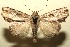  ( - 09-SRNP-108835)  @14 [ ] CreativeCommons - Attribution Non-Commercial Share-Alike (2010) Unspecified Guanacaste Dry Forest Conservation Fund