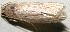 ( - 10-SRNP-108104)  @12 [ ] CreativeCommons - Attribution Non-Commercial Share-Alike (2010) Daniel H. Janzen Guanacaste Dry Forest Conservation Fund