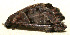  ( - 10-SRNP-110844)  @12 [ ] CreativeCommons - Attribution Non-Commercial Share-Alike (2010) Daniel H. Janzen Guanacaste Dry Forest Conservation Fund