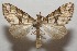  ( - 17-SRNP-107123)  @11 [ ] CreativeCommons  Attribution Non-Commercial Share-Alike (2019) Daniel H. Janzen Guanacaste Dry Forest Conservation Fund