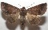  ( - 17-SRNP-107136)  @14 [ ] CreativeCommons  Attribution Non-Commercial Share-Alike (2019) Daniel H. Janzen Guanacaste Dry Forest Conservation Fund