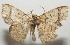  ( - 17-SRNP-107517)  @13 [ ] CreativeCommons  Attribution Non-Commercial Share-Alike (2019) Daniel H. Janzen Guanacaste Dry Forest Conservation Fund