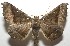  ( - 17-SRNP-107561)  @14 [ ] CreativeCommons  Attribution Non-Commercial Share-Alike (2019) Daniel H. Janzen Guanacaste Dry Forest Conservation Fund
