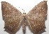  ( - 17-SRNP-107572)  @11 [ ] CreativeCommons  Attribution Non-Commercial Share-Alike (2019) Daniel H. Janzen Guanacaste Dry Forest Conservation Fund