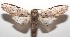  ( - 17-SRNP-107748)  @14 [ ] CreativeCommons  Attribution Non-Commercial Share-Alike (2019) Daniel H. Janzen Guanacaste Dry Forest Conservation Fund
