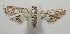  ( - 17-SRNP-107847)  @11 [ ] CreativeCommons  Attribution Non-Commercial Share-Alike (2019) Daniel H. Janzen Guanacaste Dry Forest Conservation Fund