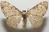  ( - 17-SRNP-108029)  @13 [ ] CreativeCommons  Attribution Non-Commercial Share-Alike (2019) Daniel H. Janzen Guanacaste Dry Forest Conservation Fund