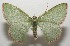  ( - 17-SRNP-108031)  @14 [ ] CreativeCommons  Attribution Non-Commercial Share-Alike (2019) Daniel H. Janzen Guanacaste Dry Forest Conservation Fund