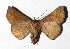  ( - 17-SRNP-55673)  @13 [ ] CreativeCommons  Attribution Non-Commercial Share-Alike (2019) Daniel H. Janzen Guanacaste Dry Forest Conservation Fund