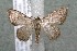  ( - 17-SRNP-72893)  @14 [ ] CreativeCommons  Attribution Non-Commercial Share-Alike (2019) Daniel H. Janzen Guanacaste Dry Forest Conservation Fund