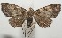  ( - 18-SRNP-100049)  @14 [ ] CreativeCommons  Attribution Non-Commercial Share-Alike (2019) Daniel H. Janzen Guanacaste Dry Forest Conservation Fund