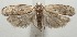  ( - 18-SRNP-100111)  @11 [ ] CreativeCommons  Attribution Non-Commercial Share-Alike (2019) Daniel H. Janzen Guanacaste Dry Forest Conservation Fund