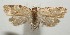  ( - 18-SRNP-100123)  @11 [ ] CreativeCommons  Attribution Non-Commercial Share-Alike (2019) Daniel H. Janzen Guanacaste Dry Forest Conservation Fund