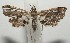  ( - 18-SRNP-100139)  @11 [ ] CreativeCommons  Attribution Non-Commercial Share-Alike (2019) Daniel H. Janzen Guanacaste Dry Forest Conservation Fund