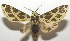  ( - 18-SRNP-100193)  @14 [ ] CreativeCommons  Attribution Non-Commercial Share-Alike (2019) Daniel H. Janzen Guanacaste Dry Forest Conservation Fund