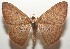  ( - 18-SRNP-100201)  @14 [ ] CreativeCommons  Attribution Non-Commercial Share-Alike (2019) Daniel H. Janzen Guanacaste Dry Forest Conservation Fund